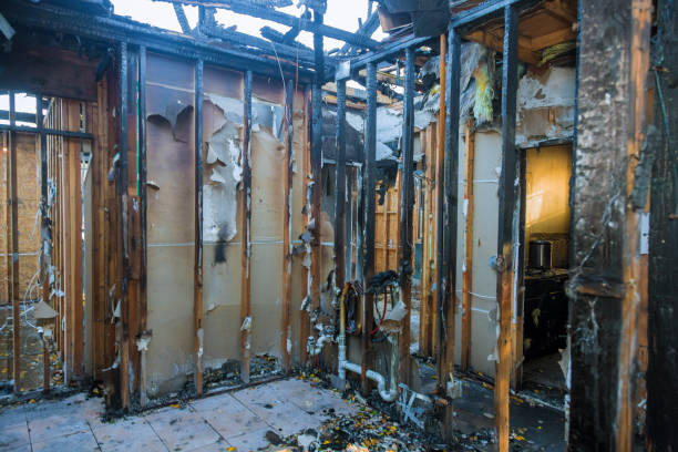Professional Fire Damage Removal technician working in Three Bridges, NJ