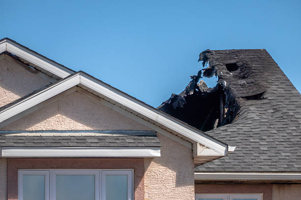 Top rated local Fire Damage Removal specialists in Three Bridges, NJ